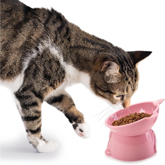 Cat Food Bowl - Tilted and Elevated - Picture 2 of 8